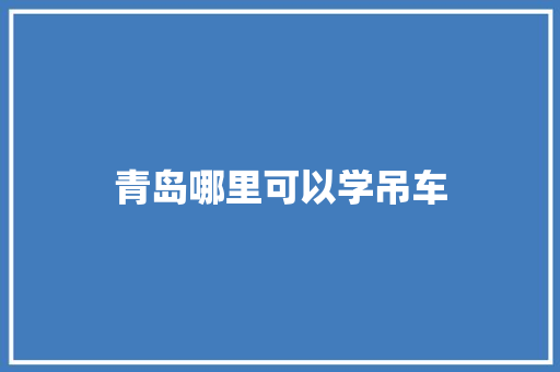 青岛哪里可以学吊车