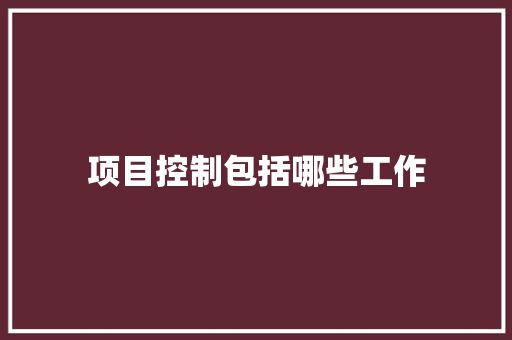 项目控制包括哪些工作