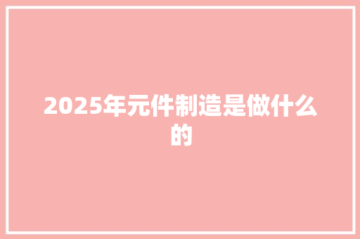 2025年元件制造是做什么的