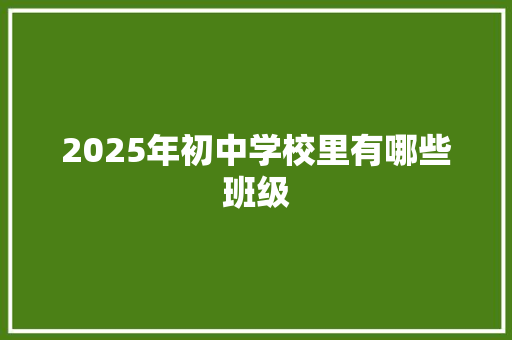 2025年初中学校里有哪些班级