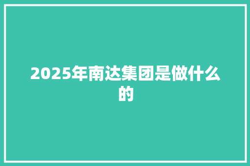 2025年南达集团是做什么的