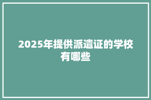 2025年提供派遣证的学校有哪些