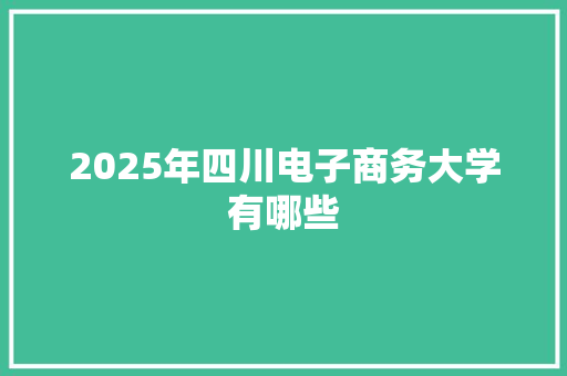 2025年四川电子商务大学有哪些