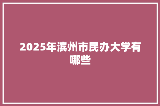 2025年滨州市民办大学有哪些