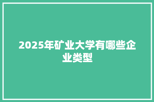 2025年矿业大学有哪些企业类型