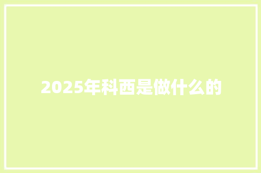 2025年科西是做什么的