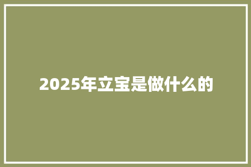 2025年立宝是做什么的