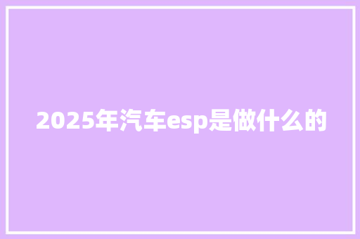 2025年汽车esp是做什么的