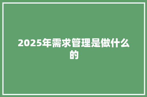 2025年需求管理是做什么的