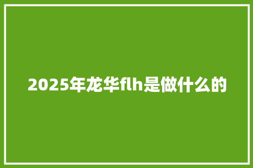 2025年龙华flh是做什么的