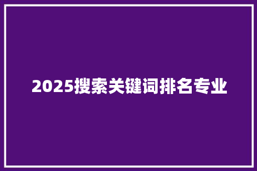 2025搜索关键词排名专业
