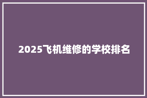 2025飞机维修的学校排名