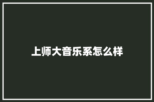 上师大音乐系怎么样