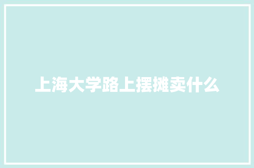 上海大学路上摆摊卖什么