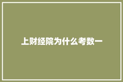上财经院为什么考数一