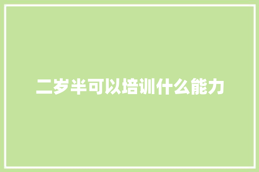 二岁半可以培训什么能力