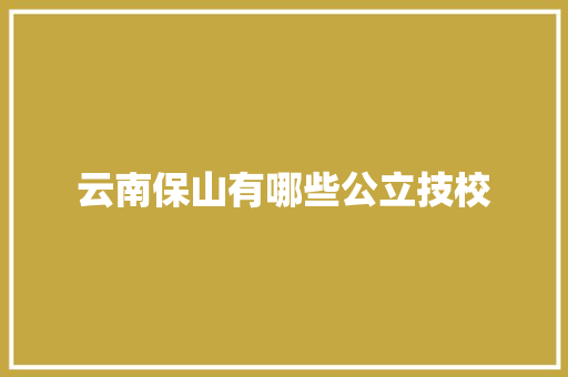 云南保山有哪些公立技校