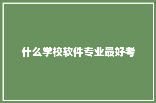 什么学校软件专业最好考
