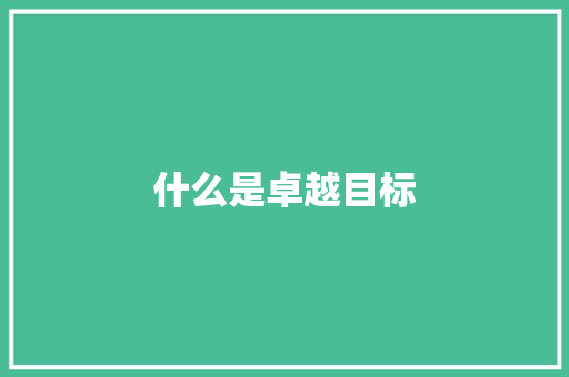 什么是卓越目标
