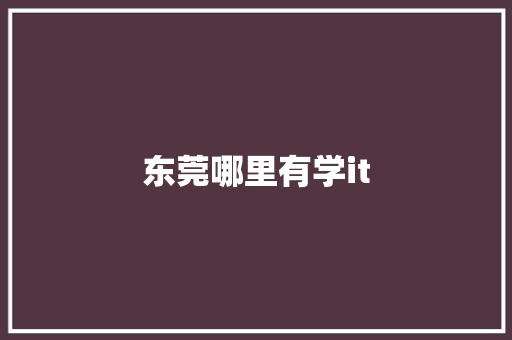 东莞哪里有学it