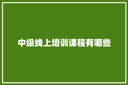 中级线上培训课程有哪些