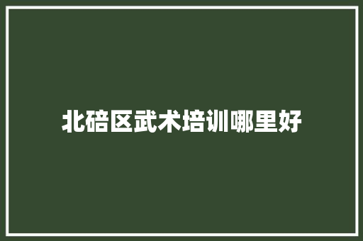 北碚区武术培训哪里好