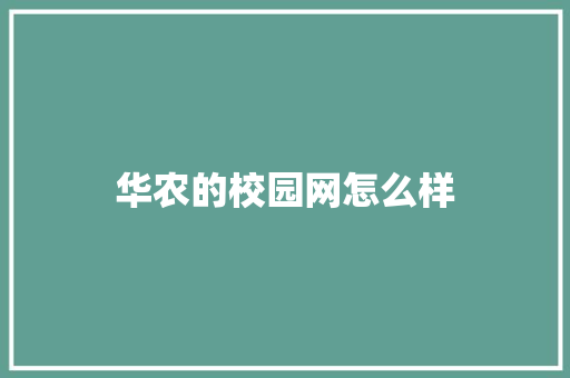 华农的校园网怎么样