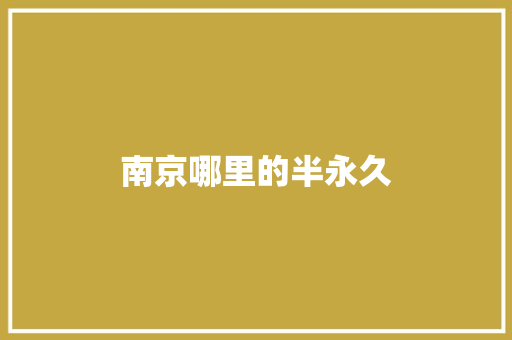 南京哪里的半永久