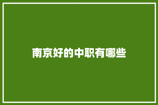 南京好的中职有哪些