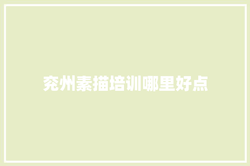 兖州素描培训哪里好点