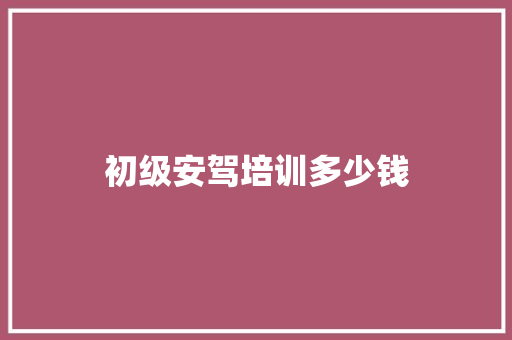 初级安驾培训多少钱