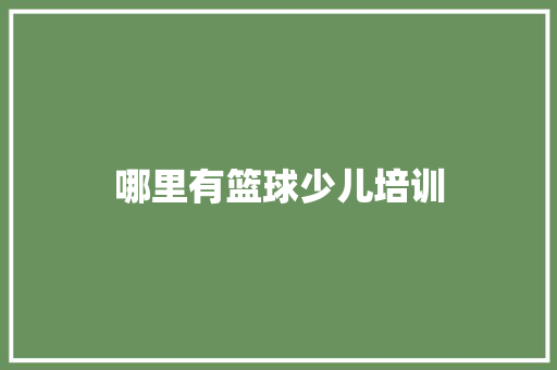 哪里有篮球少儿培训