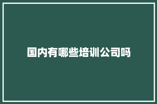 国内有哪些培训公司吗