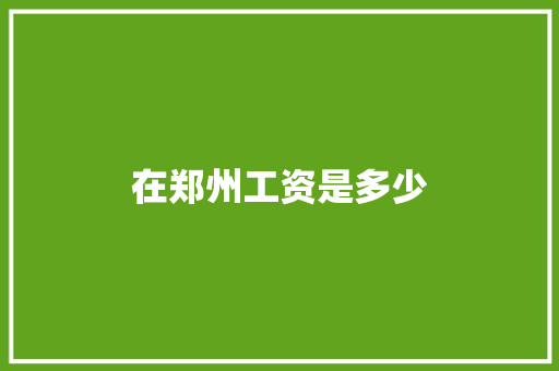 在郑州工资是多少