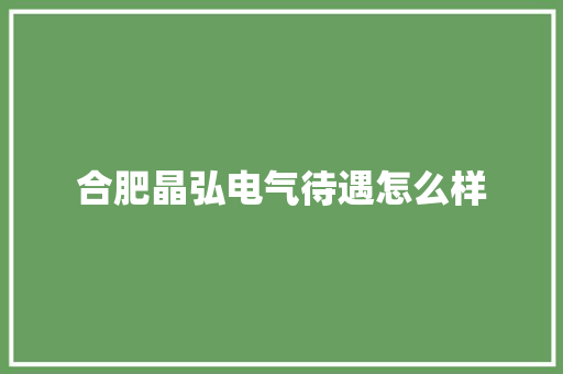 合肥晶弘电气待遇怎么样
