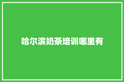 哈尔滨奶茶培训哪里有