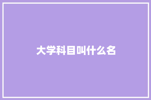 大学科目叫什么名