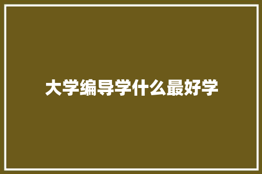 大学编导学什么最好学