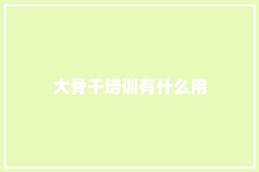 大骨干培训有什么用