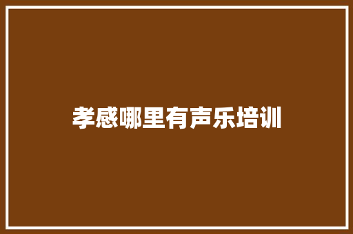 孝感哪里有声乐培训