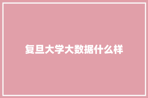 复旦大学大数据什么样