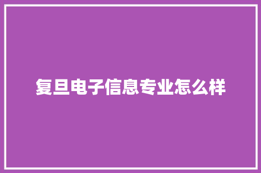 复旦电子信息专业怎么样
