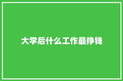大学后什么工作最挣钱