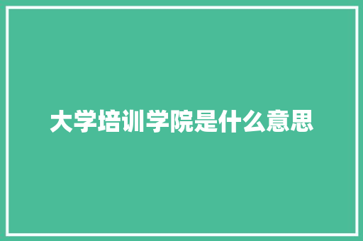 大学培训学院是什么意思