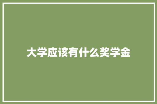 大学应该有什么奖学金