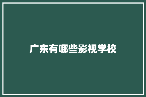 广东有哪些影视学校