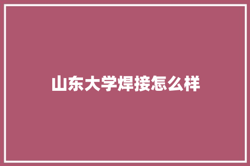山东大学焊接怎么样