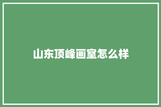 山东顶峰画室怎么样