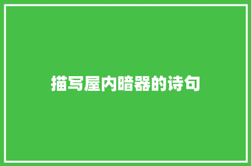 描写屋内暗器的诗句