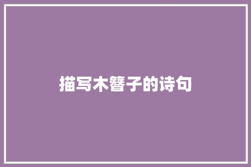 描写木簪子的诗句